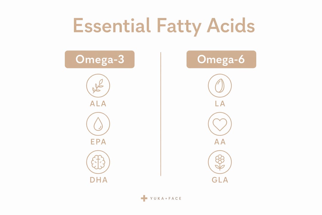 Infographic comparing omega-3 and omega-6 fatty acids