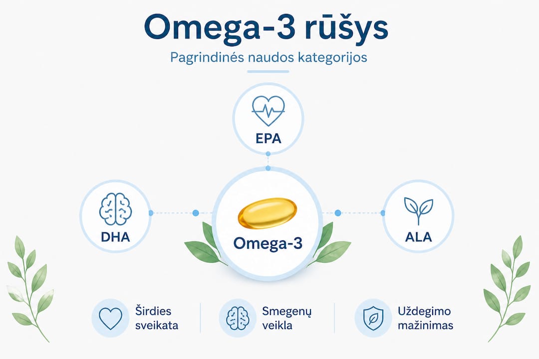 Vizualus gidas apie omega-3 rūšis ir jų svarbiausią naudą mūsų organizmui