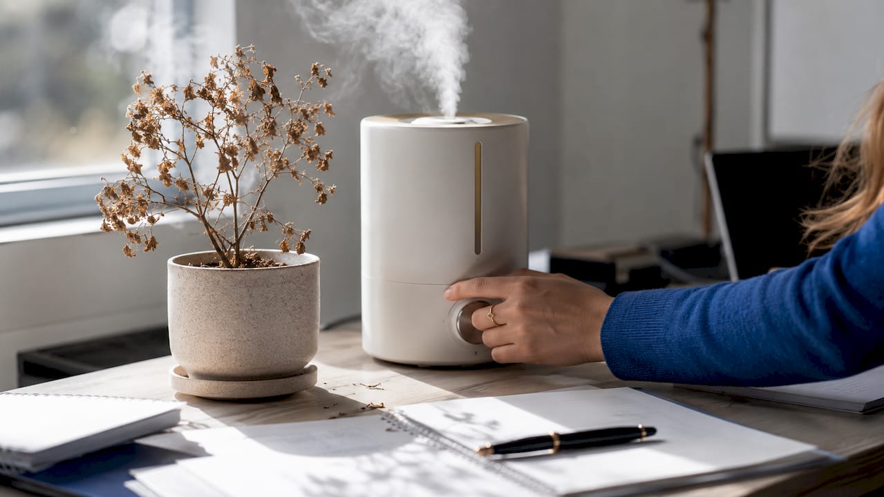 Personal humidifier on dry office desk