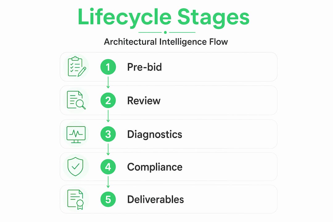 Vertical flow infographic of lifecycle stages