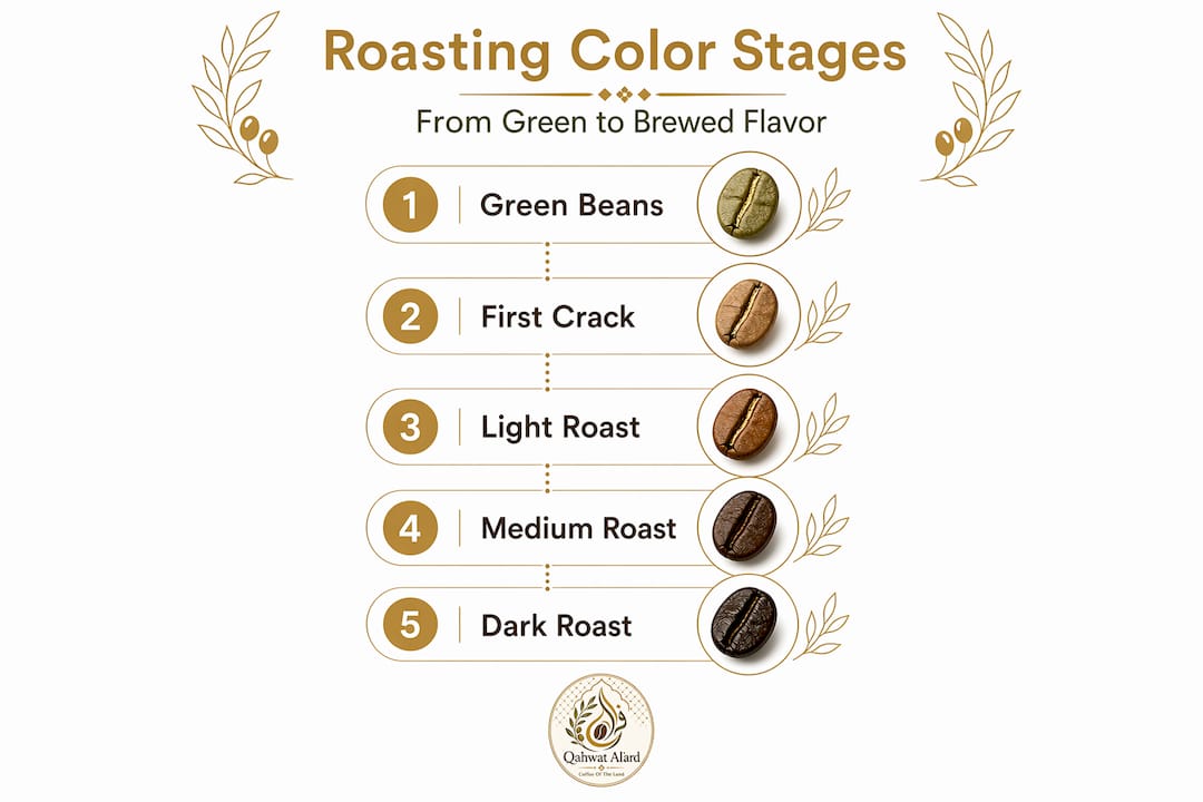Infographic showing coffee roasting color stages