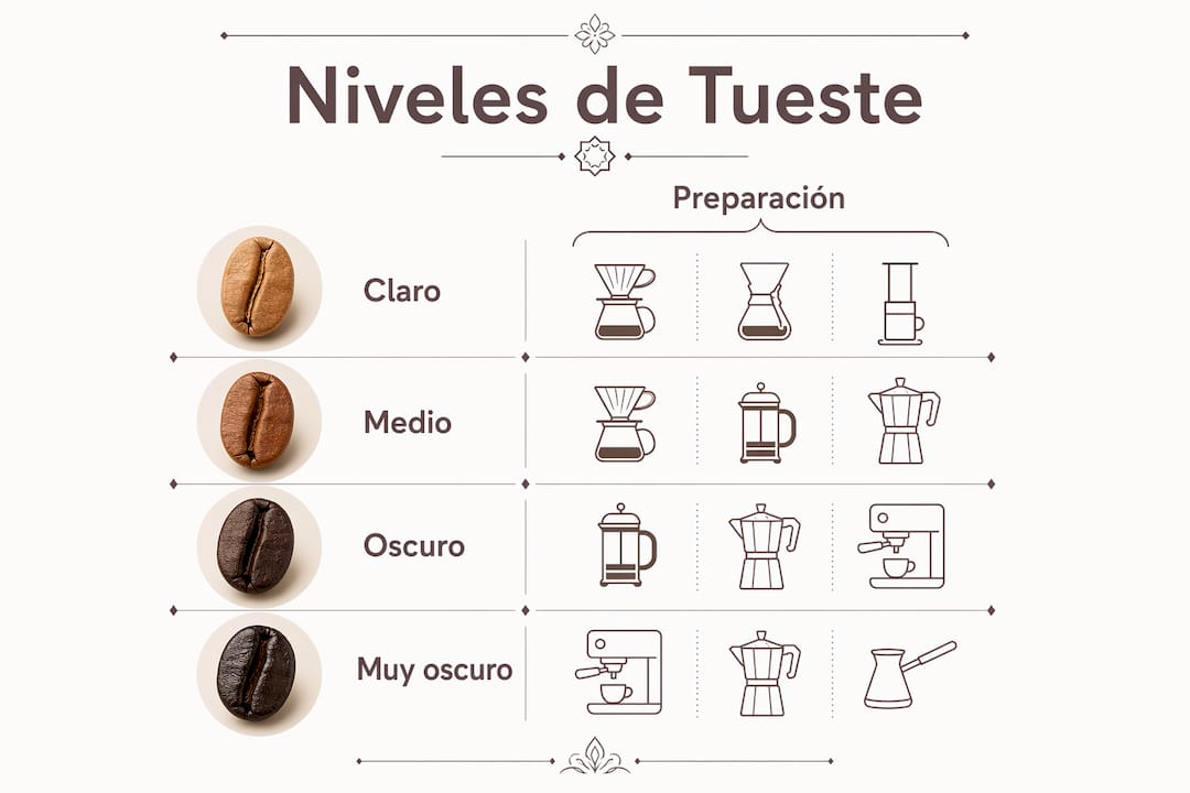 Infografía sobre los diferentes grados de tostado y formas de preparar el café