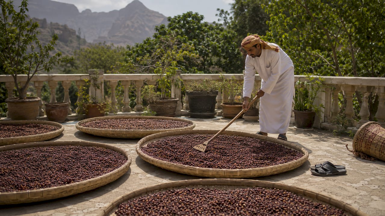 Coffee drying on rooftop under sun