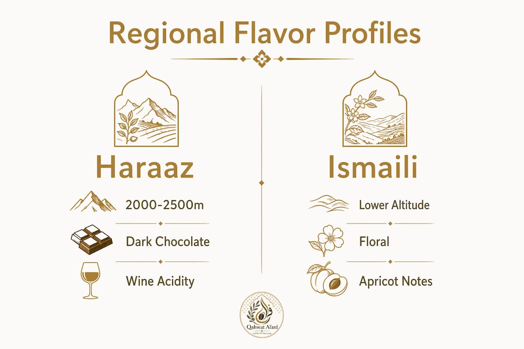 Infographic comparing Yemeni coffee regional flavors