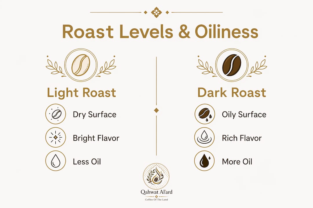 Infographic comparing roast levels and coffee bean oiliness