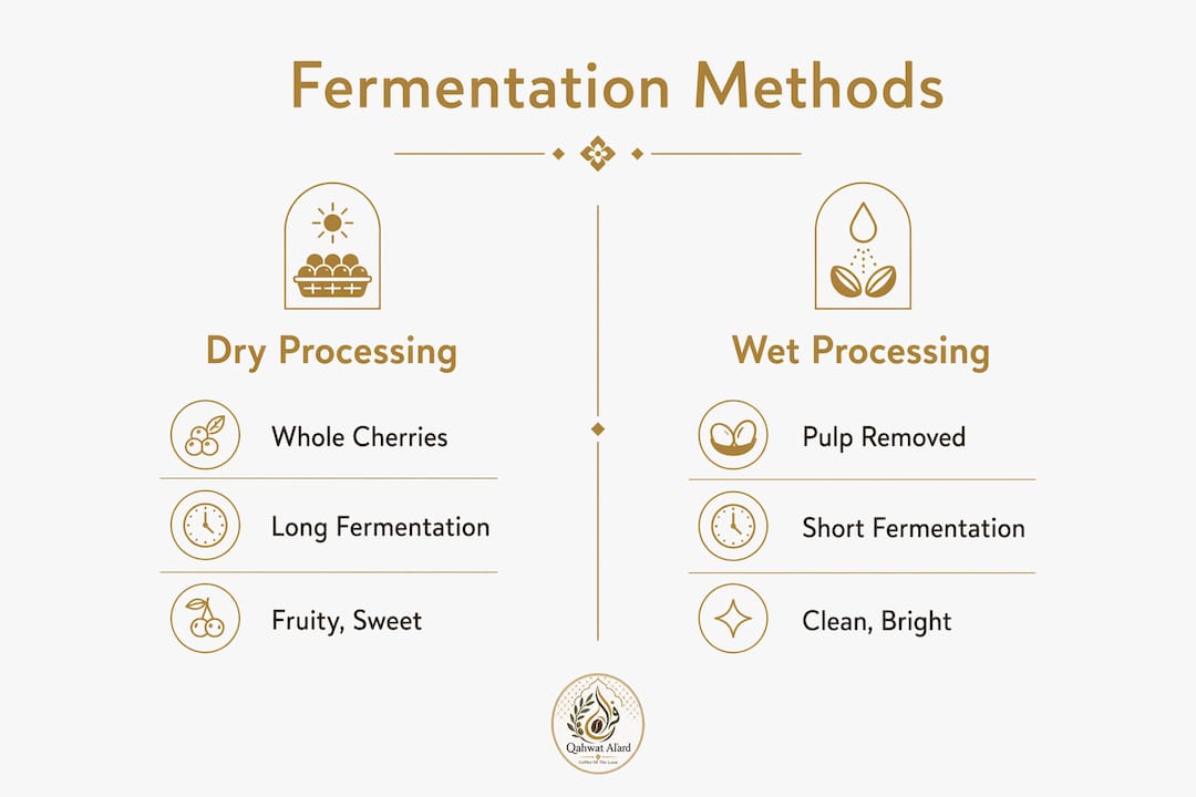 Infographic comparing dry and wet coffee fermentation methods
