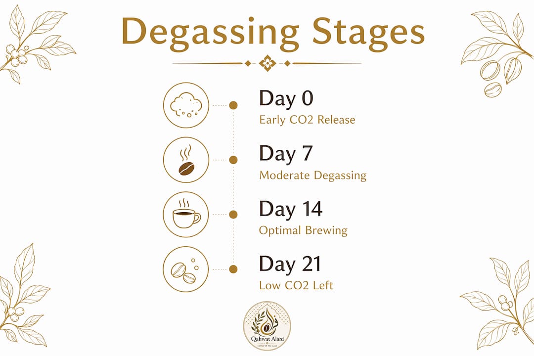Vertical flow infographic showing coffee degassing stages