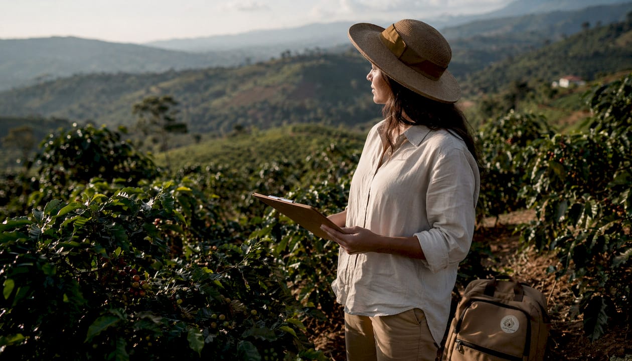 Agronomist inspecting coffee plants outdoors