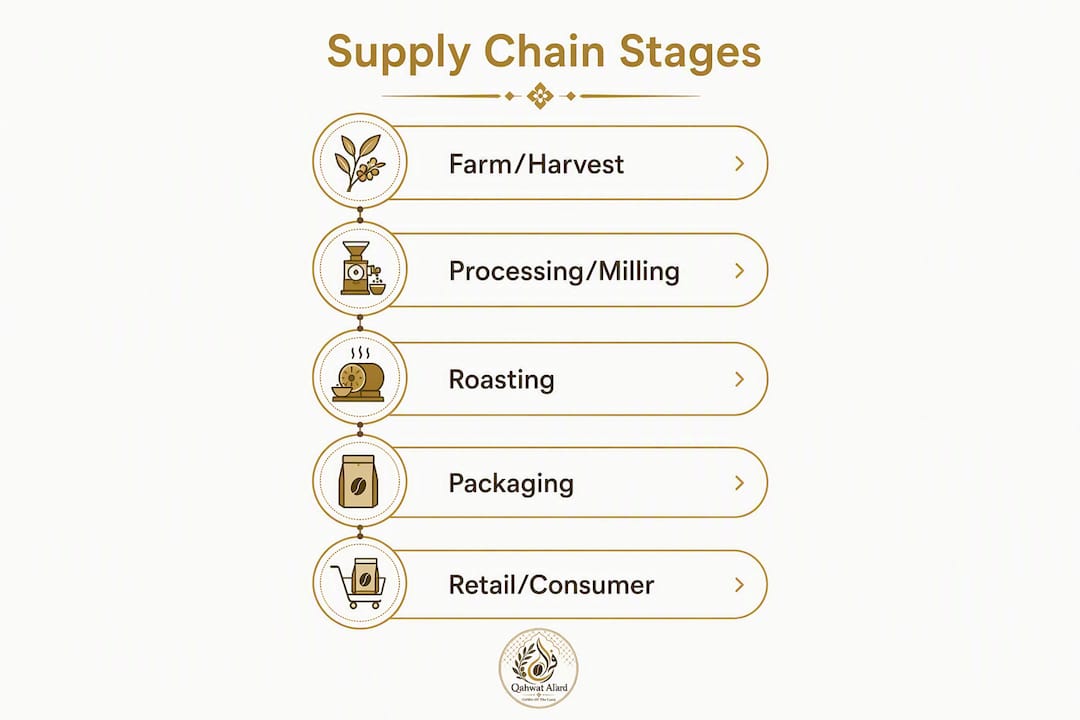 Infographic showing bean-to-cup supply chain stages