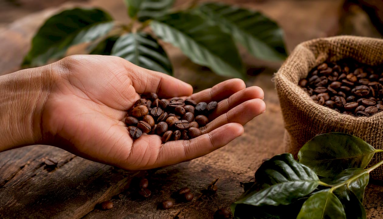 Granos de café de origen único sobre saco de yute