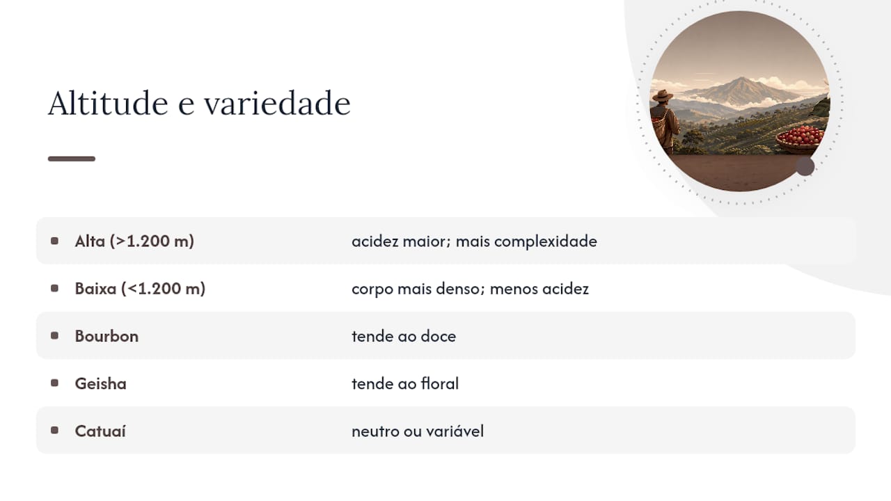 Diagrama comparando altitude, variedade e sabor em microlotes de café
