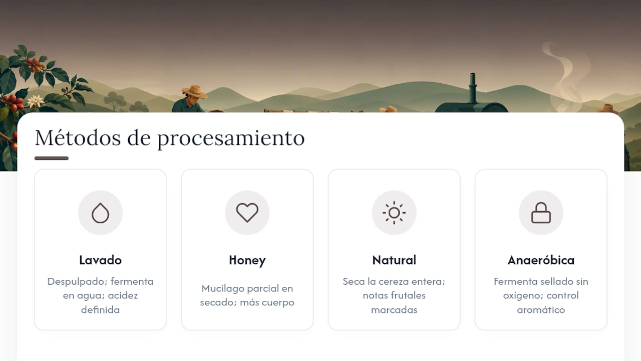 Comparación de cuatro métodos de procesamiento del café
