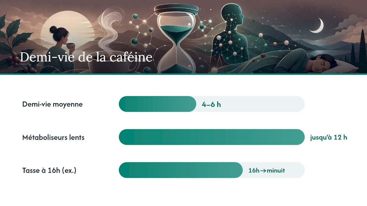 Durée des effets de la caféine sur le sommeil