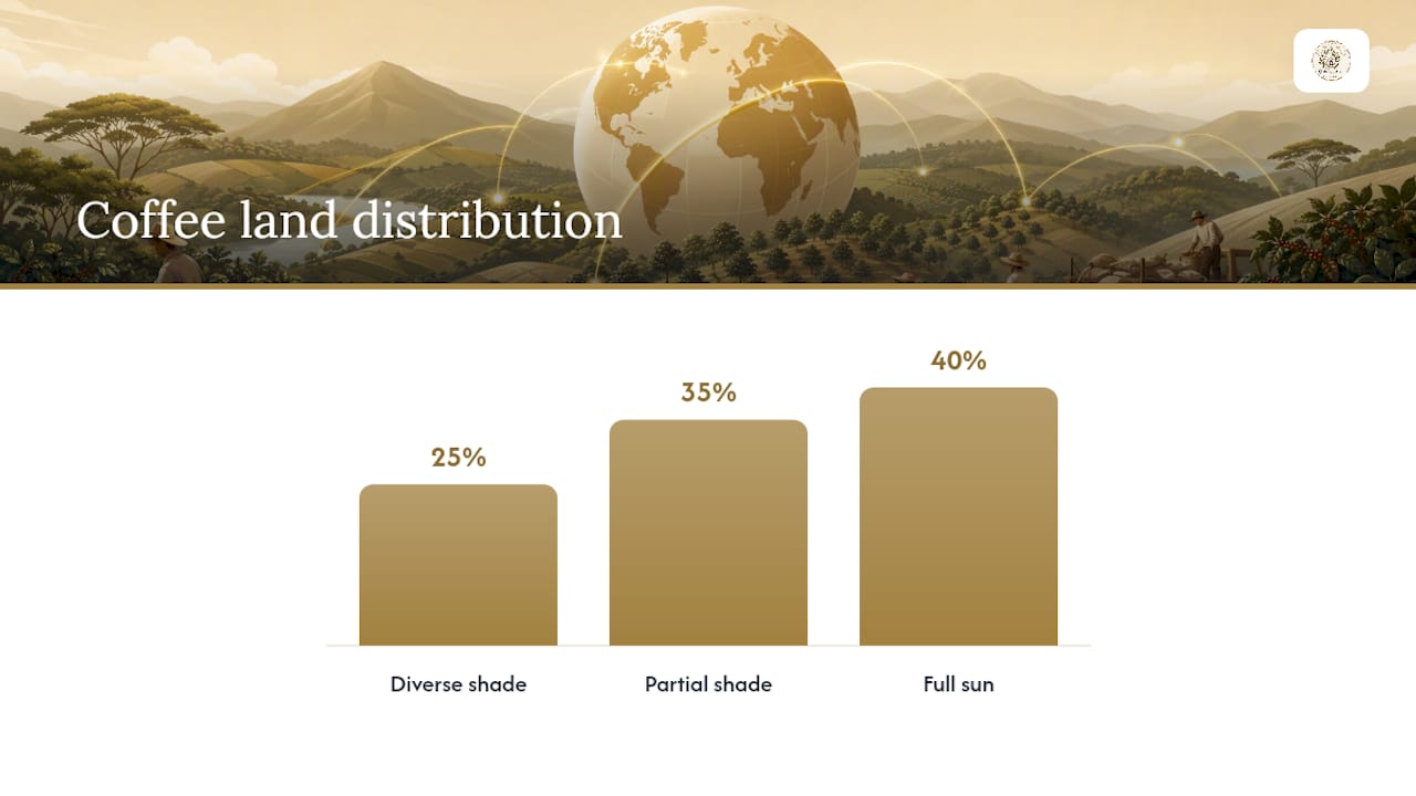 Global coffee land shade distribution