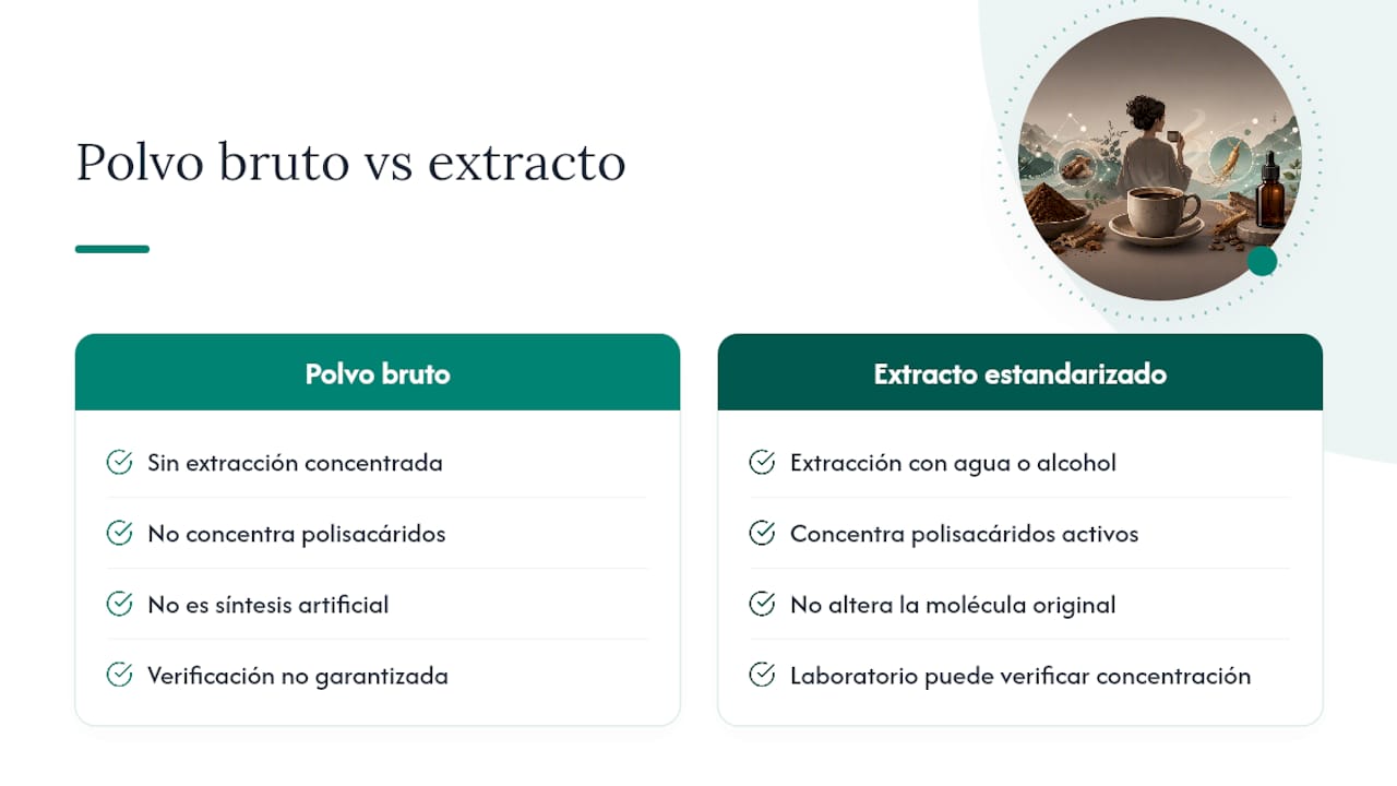 Comparativa entre extracto y polvo de hongos