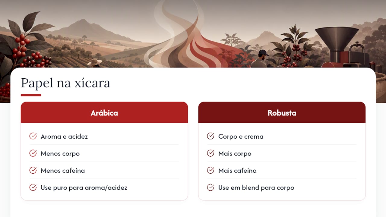 O que realmente importa na escolha entre arábica e robusta — overview diagram