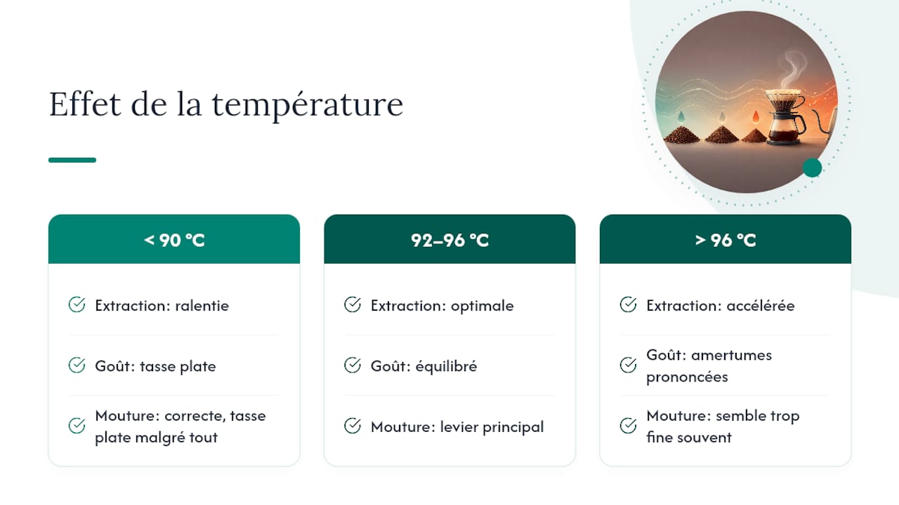 Impact de la température sur l'extraction du café