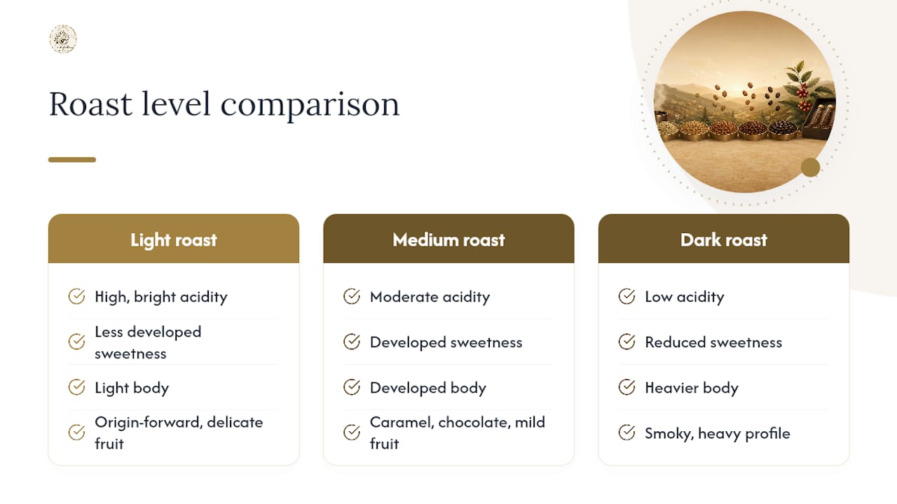 Roast levels and brewing method comparison