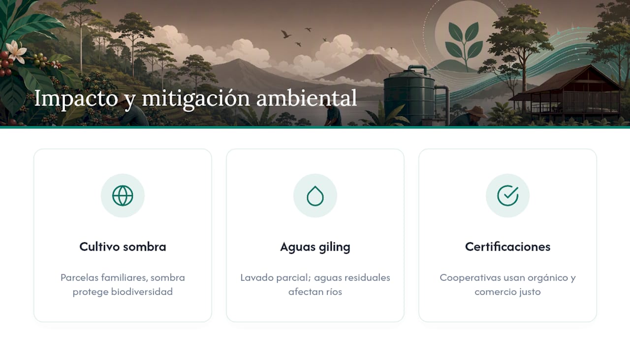 Impacto ambiental y prácticas sostenibles del café de Sumatra
