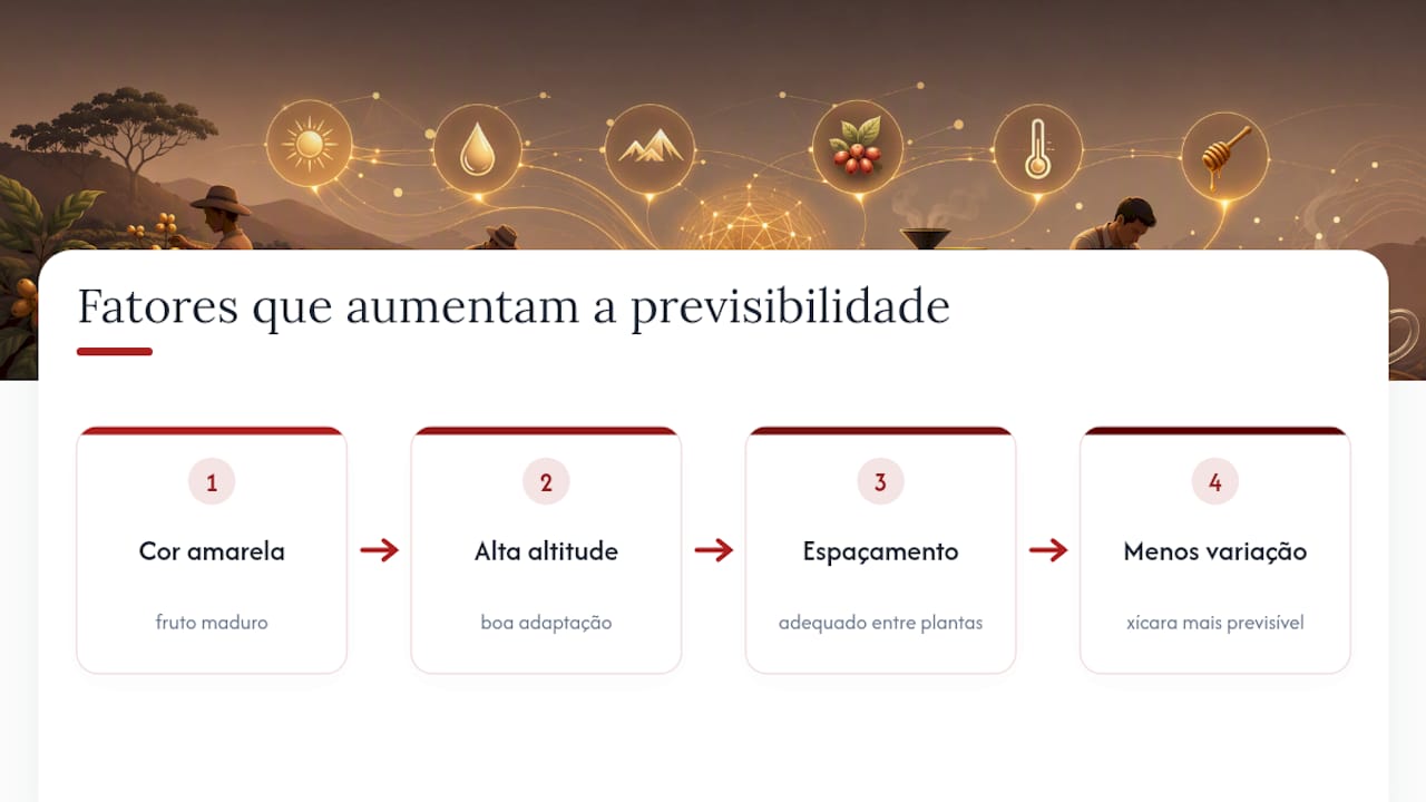 Fatores agronômicos relacionados à qualidade consistente da bebida