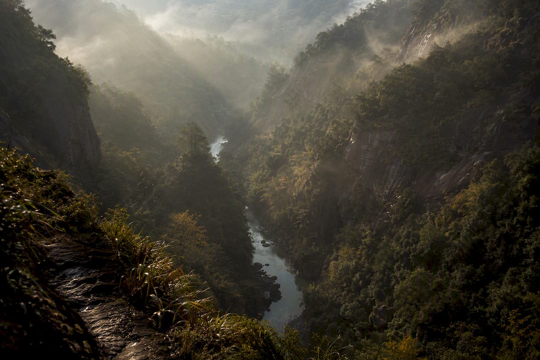 La garganta boscosa de las montañas Wuyi