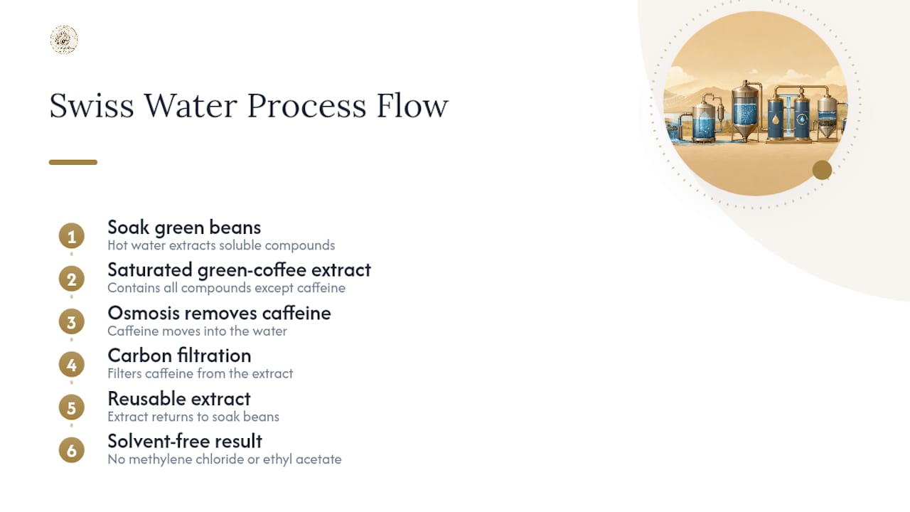 Swiss Water decaffeination process diagram