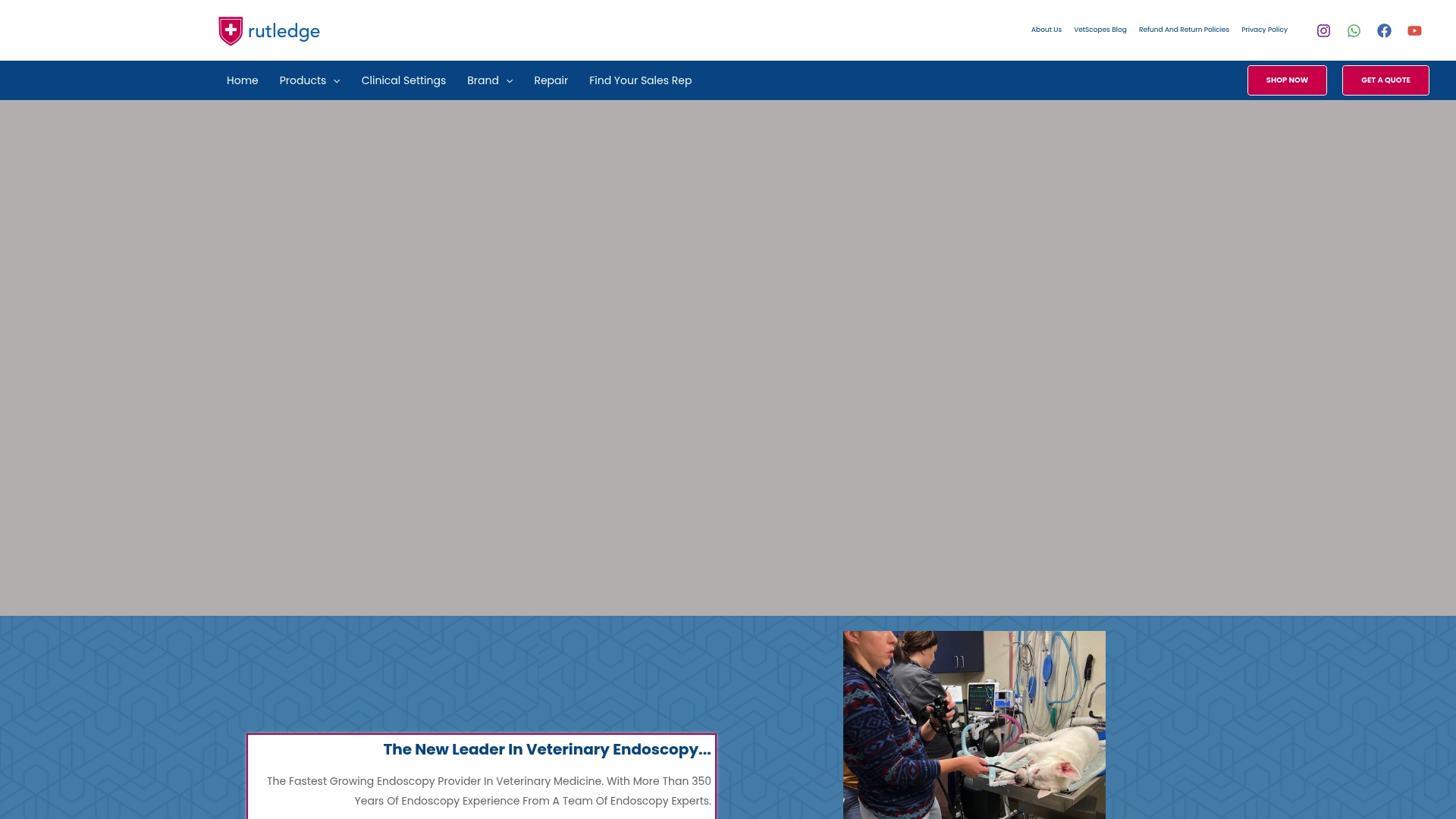 https://endoscopes.vet