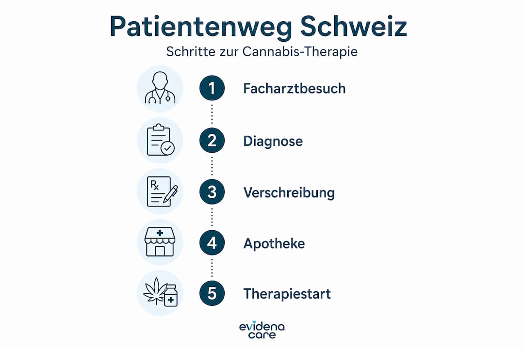 Grafik veranschaulicht den Weg von Patientinnen und Patienten zur Cannabis-Therapie