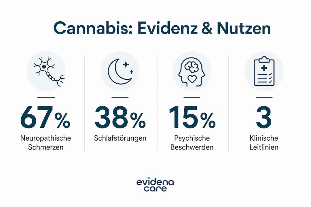 Infografik: Aktuelle Zahlen und Fakten zur Wirksamkeit von medizinischem Cannabis