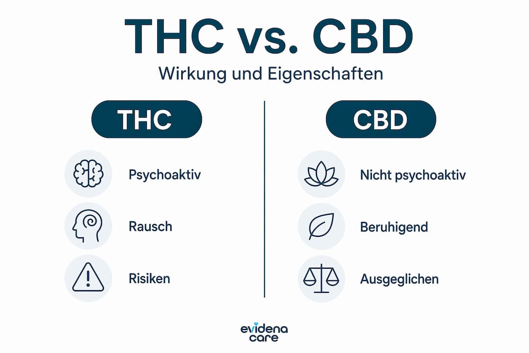 In dieser Grafik werden die unterschiedlichen Wirkungen von THC und CBD anschaulich gegenübergestellt.