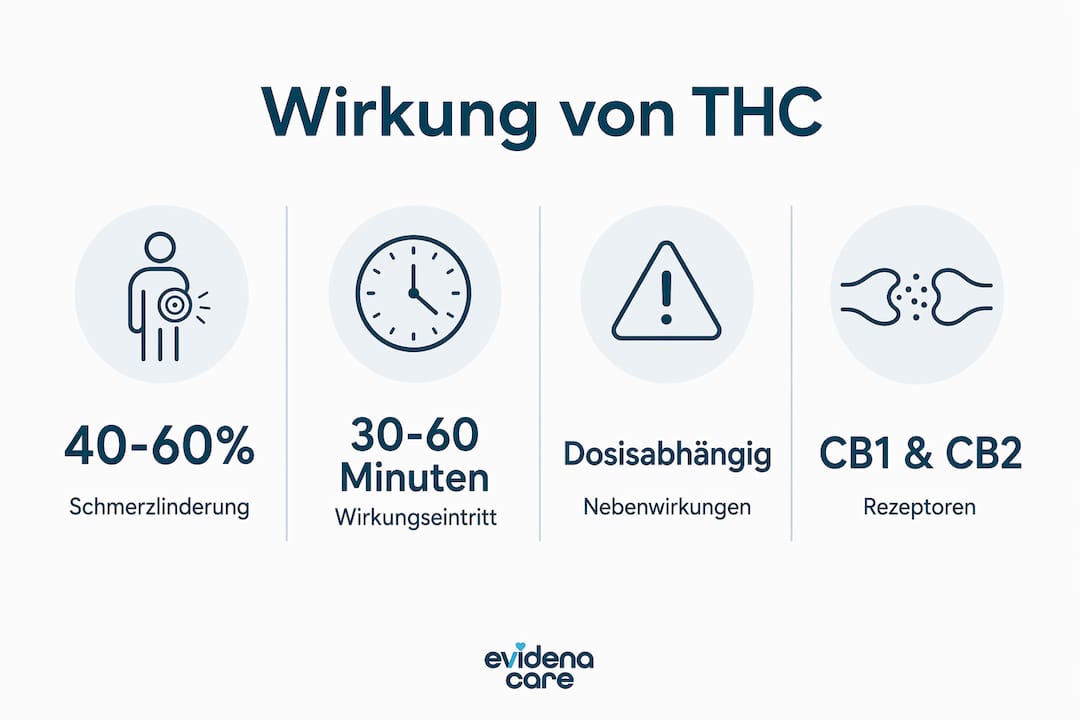 Grafik: Wie wirkt THC? Alle wichtigen Faktoren im Überblick