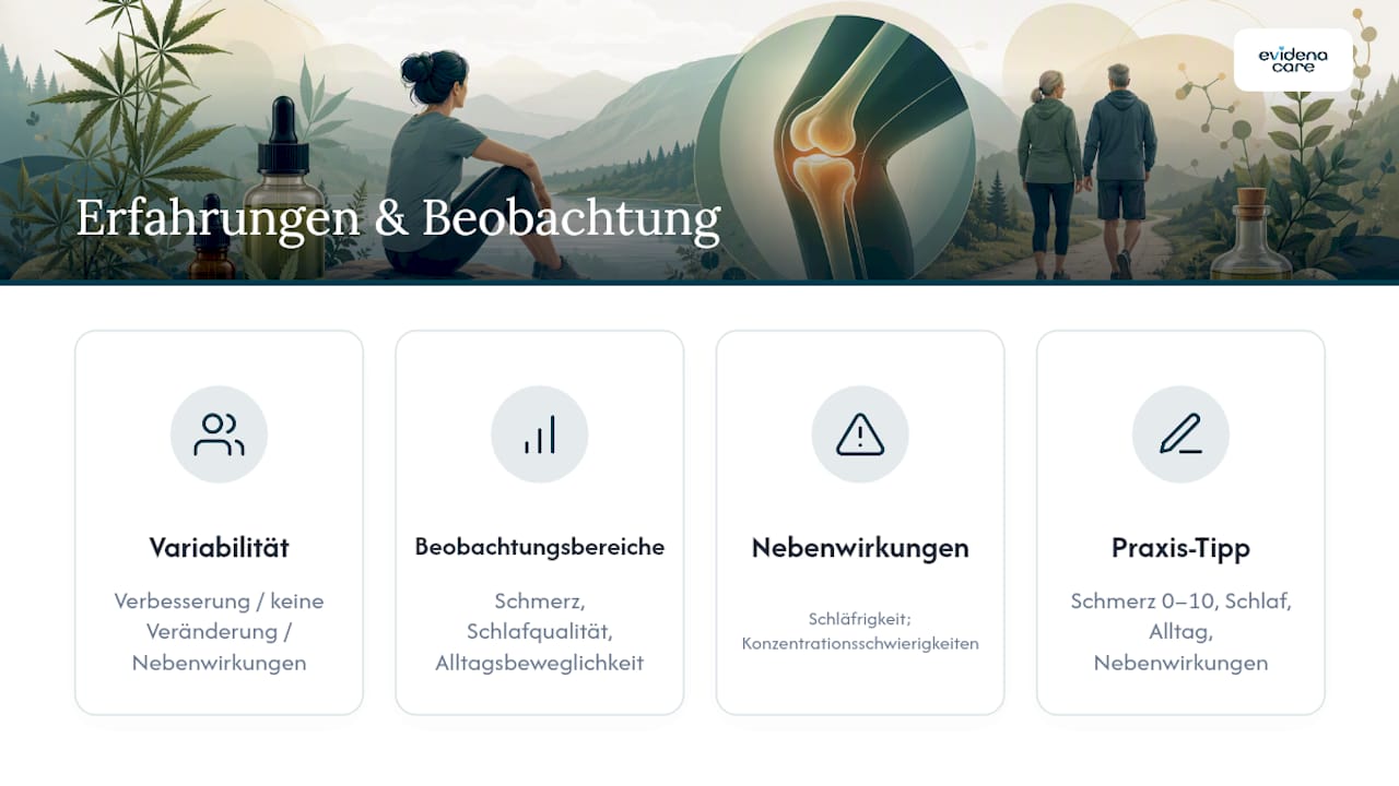 Wie erleben Betroffene hanfbasierte Präparate bei Arthrose? — overview diagram