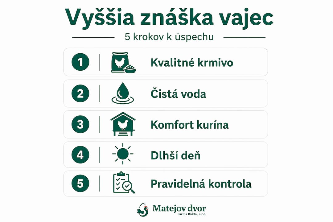 Ako zvýšiť znášku vajec: 5 jednoduchých krokov v prehľadnej infografike
