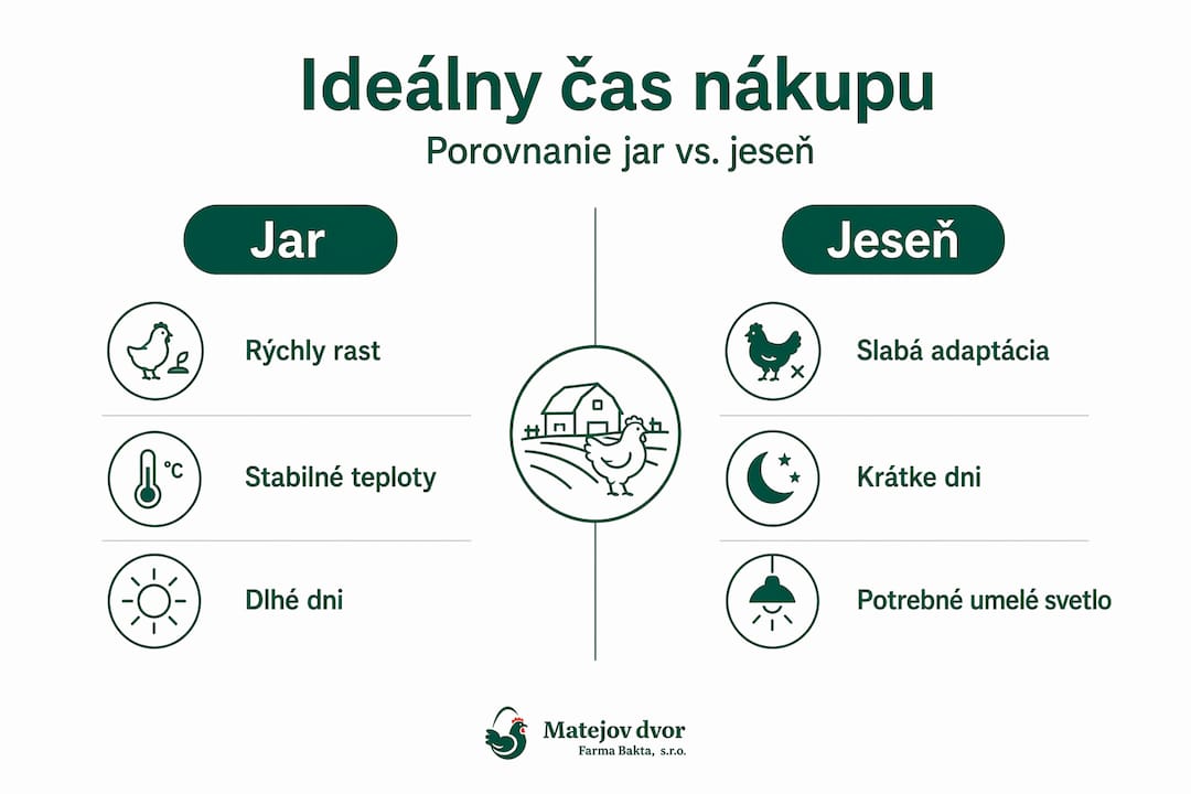 Prehľadná infografika, ktorá ukazuje rozdiely medzi jarným a jesenným obdobím pri nákupe hydiny