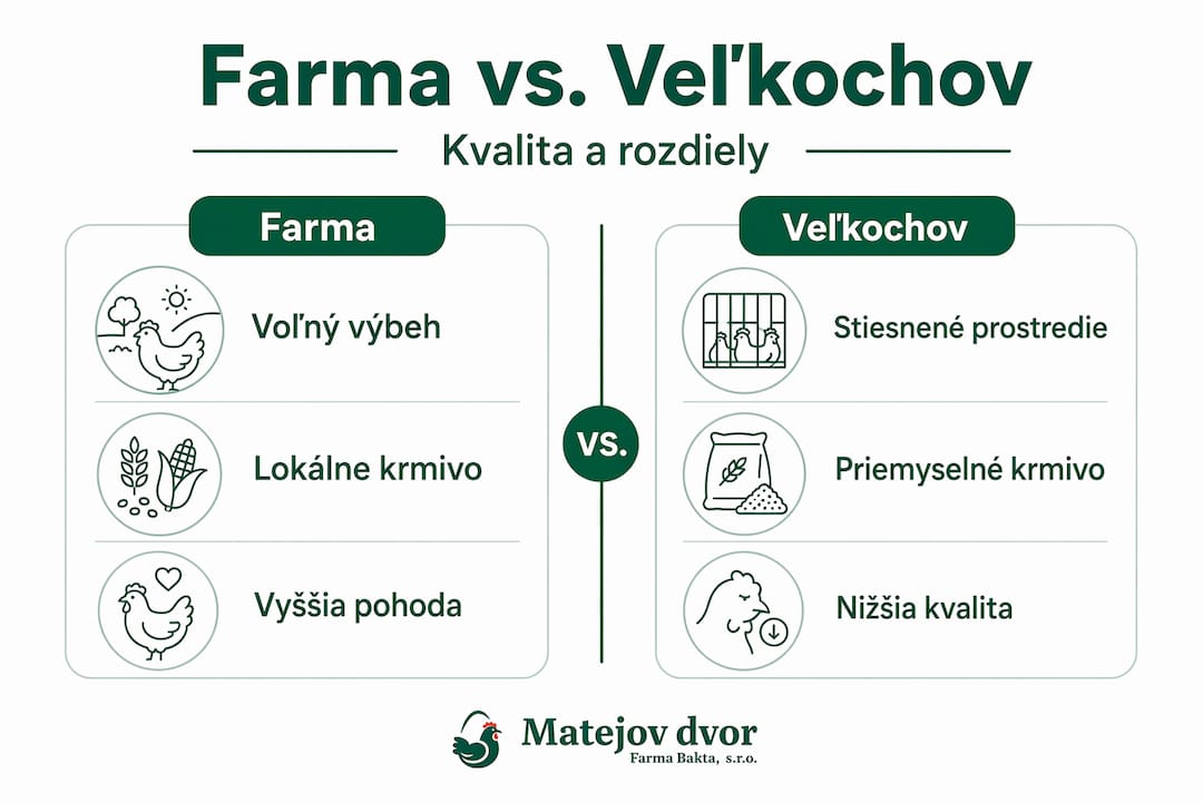 Infografika: rozdiely medzi chovom hydiny na farmách a vo veľkochovoch