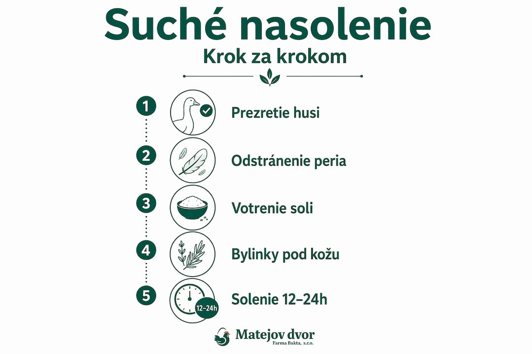 Infografika: Ako nasoliť hus nasucho – podrobný postup