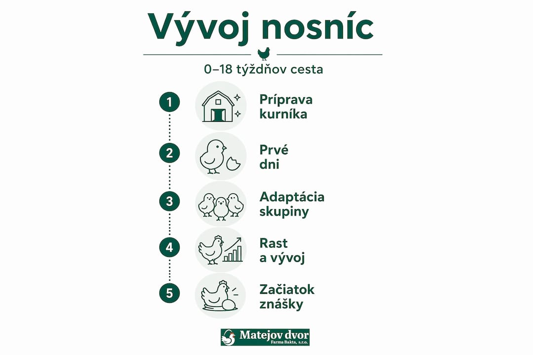 Grafický prehľad: ako sa nosníky vyvíjali krok po kroku