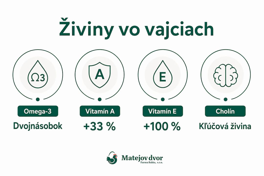 Prehľadná infografika, ktorá znázorňuje najdôležitejšie živiny obsiahnuté vo vajciach aj ich konkrétne množstvá.