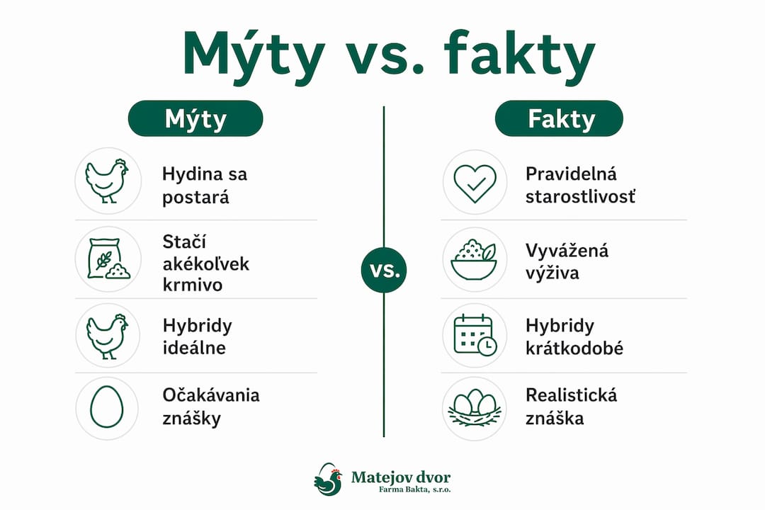 Infografika: Pravdy a omyly o chove hydiny