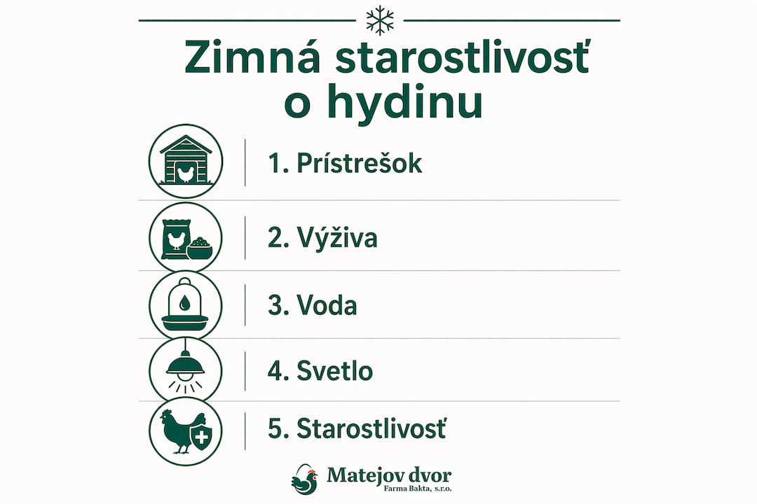 Prehľad najdôležitejších krokov, ako sa v zime správne postarať o sliepky