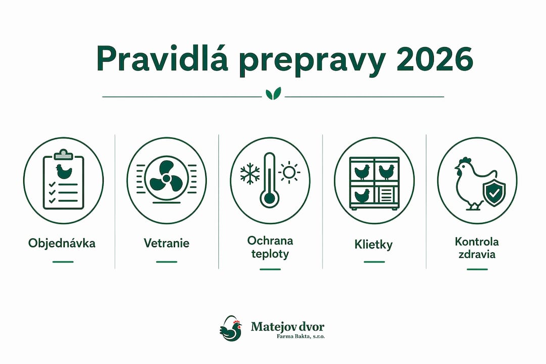 Prehľad najdôležitejších pravidiel prepravy hydiny platných od roku 2026 v podobe prehľadnej infografiky