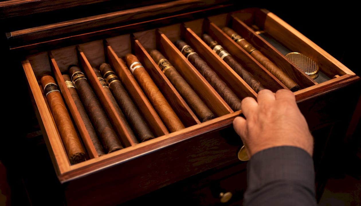 Top-down view of organized cigars separated by cedar dividers