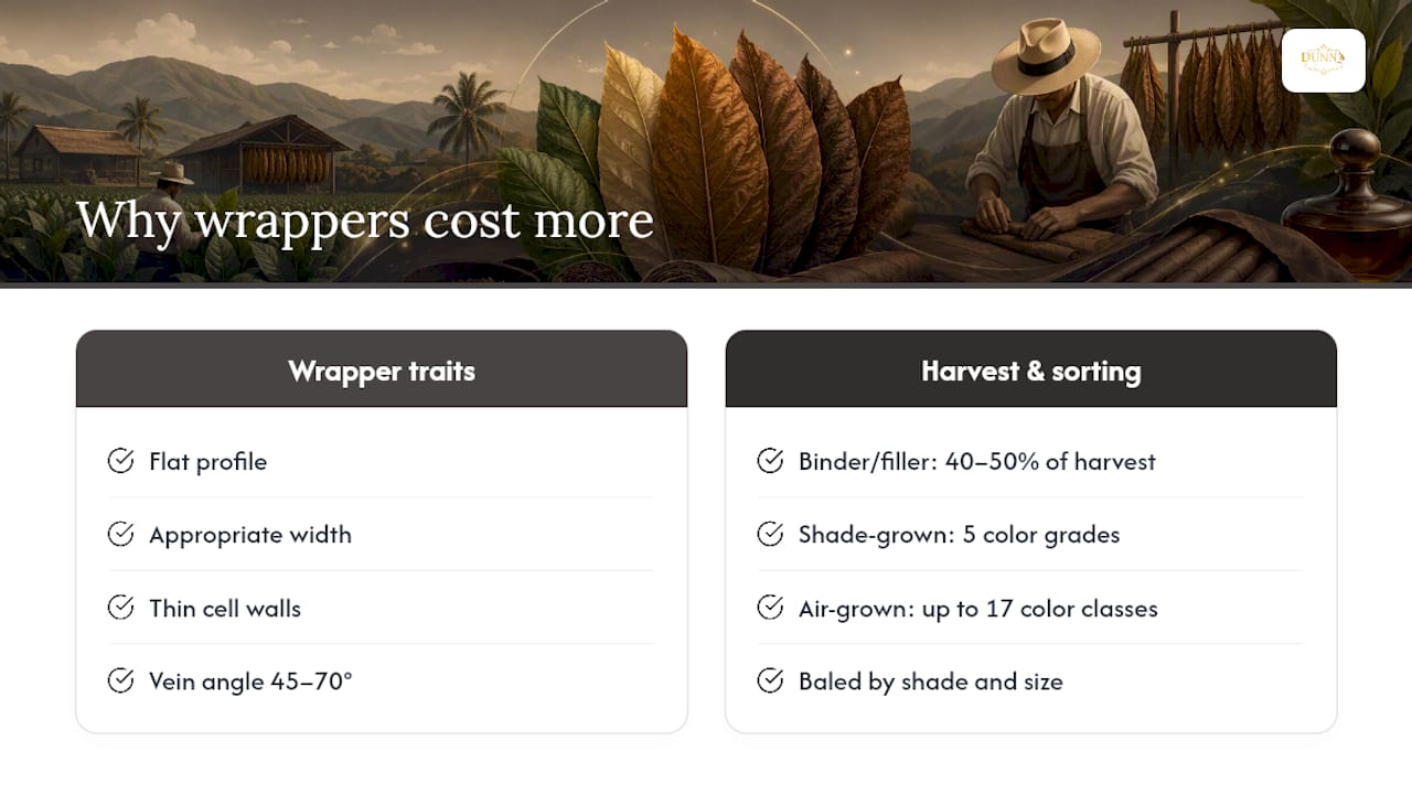 Diagram of cigar wrapper grading criteria and yield