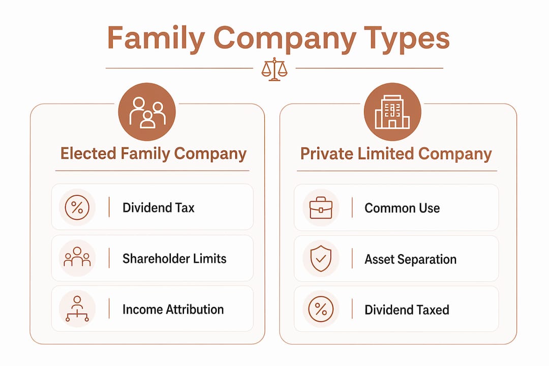 Infographic comparing elected family company and private limited company in Israel