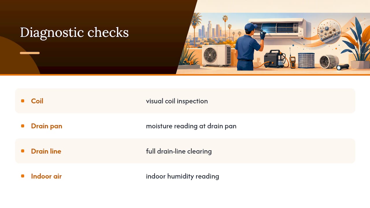 Four checks in an AC odor diagnostic