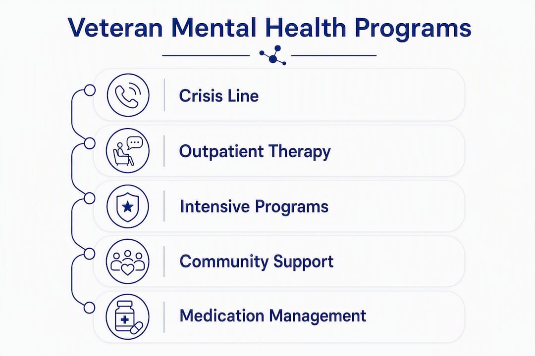 Infographic outlining veteran mental health program types