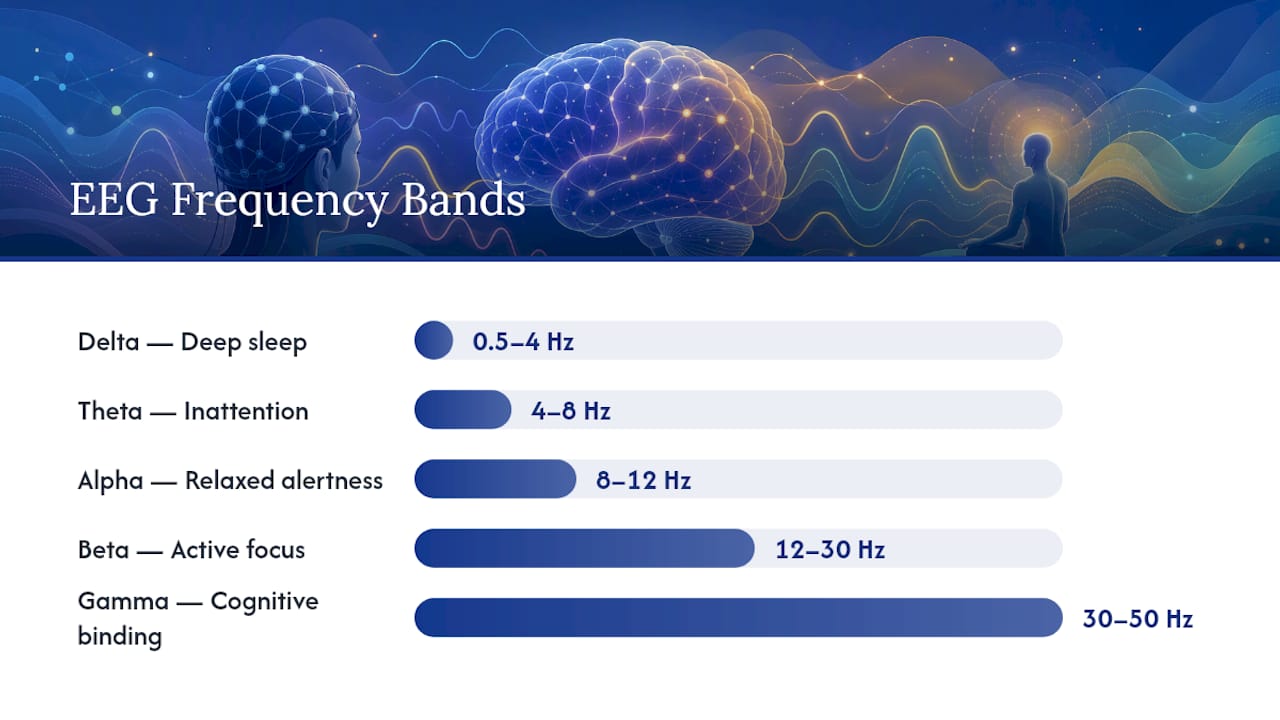 Chart of EEG frequency bands and functions