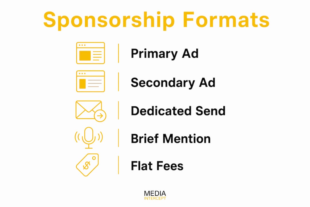 Infographic illustrating newsletter sponsorship types