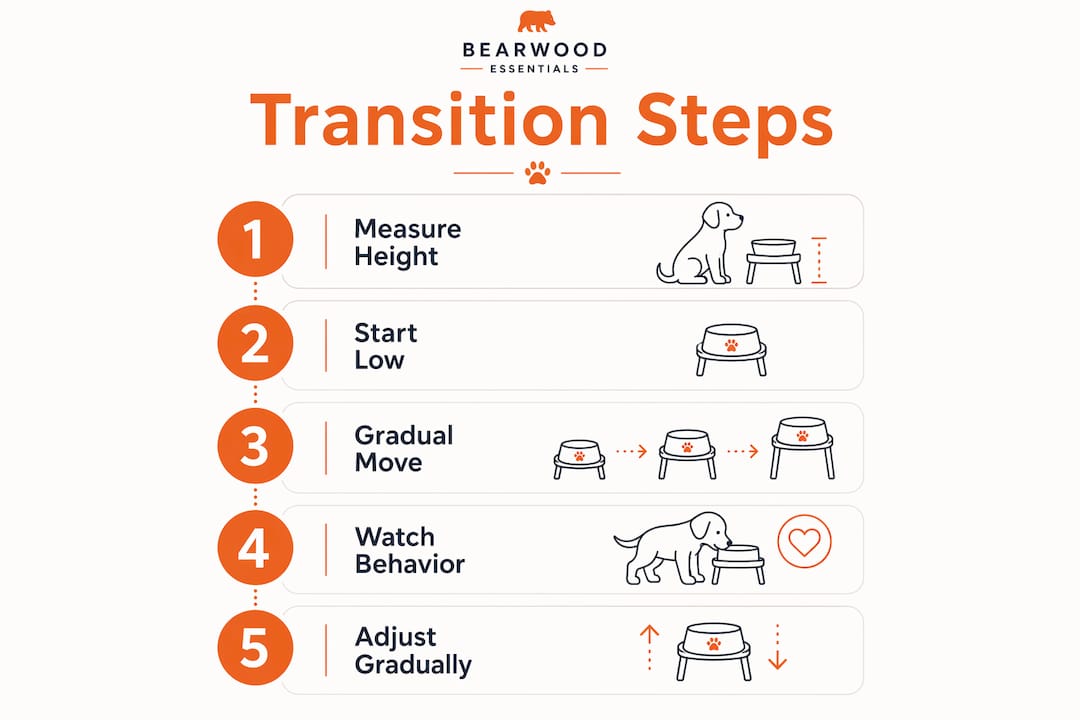 Infographic showing steps to transition puppy to elevated bowl