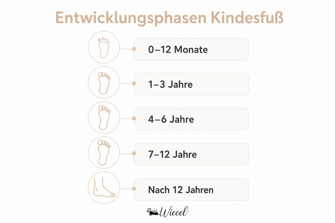 Diese Infografik veranschaulicht, wie sich Kinderfüße im Laufe der Zeit entwickeln.